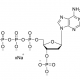 Structure of 3'-P-dATP 100mM Sodium Solution CAS dNTP051