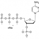 Structure of 3'-P-dCTP 100mM Sodium Solution CAS dNTP018