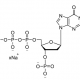 Structure of 3'-P-dGTP 100mM Sodium Solution CAS dNTP052